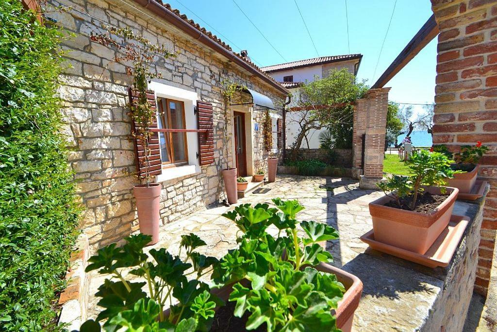 Giardin Villa Novigrad Istria
